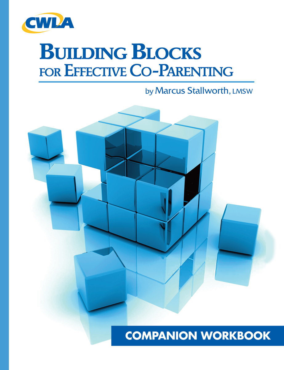 Building Blocks for Effective Co-Parenting: Companion Workbook