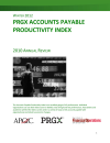PRGX AP Productivity Index (2012) + Premium Individual Membership