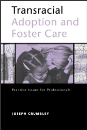 Transracial Adoption and Foster Care: Practice Issues for Professionals