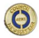 Council Newsletter Pin