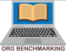 <b>Risk Management Organization: A Functional Comparative & Benchmarking (PDF)</b>